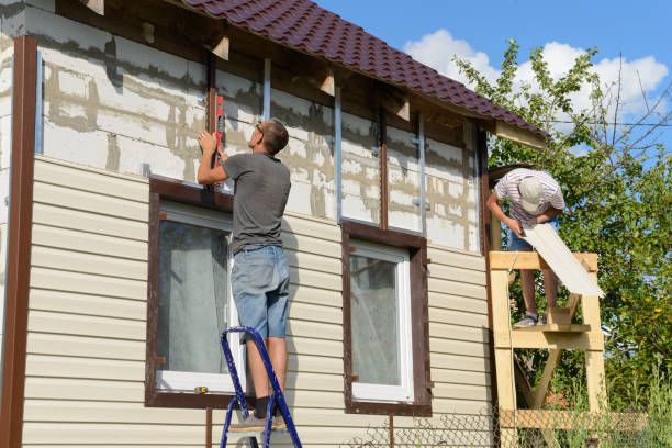 Best Fascia and Soffit Installation  in Elkins, WV