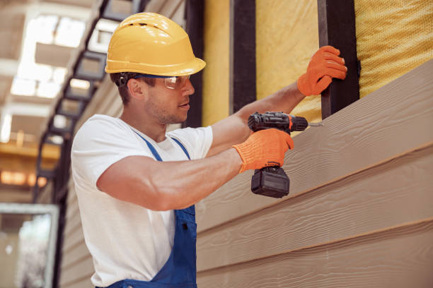 Best Custom Trim and Detailing for Siding  in Elkins, WV